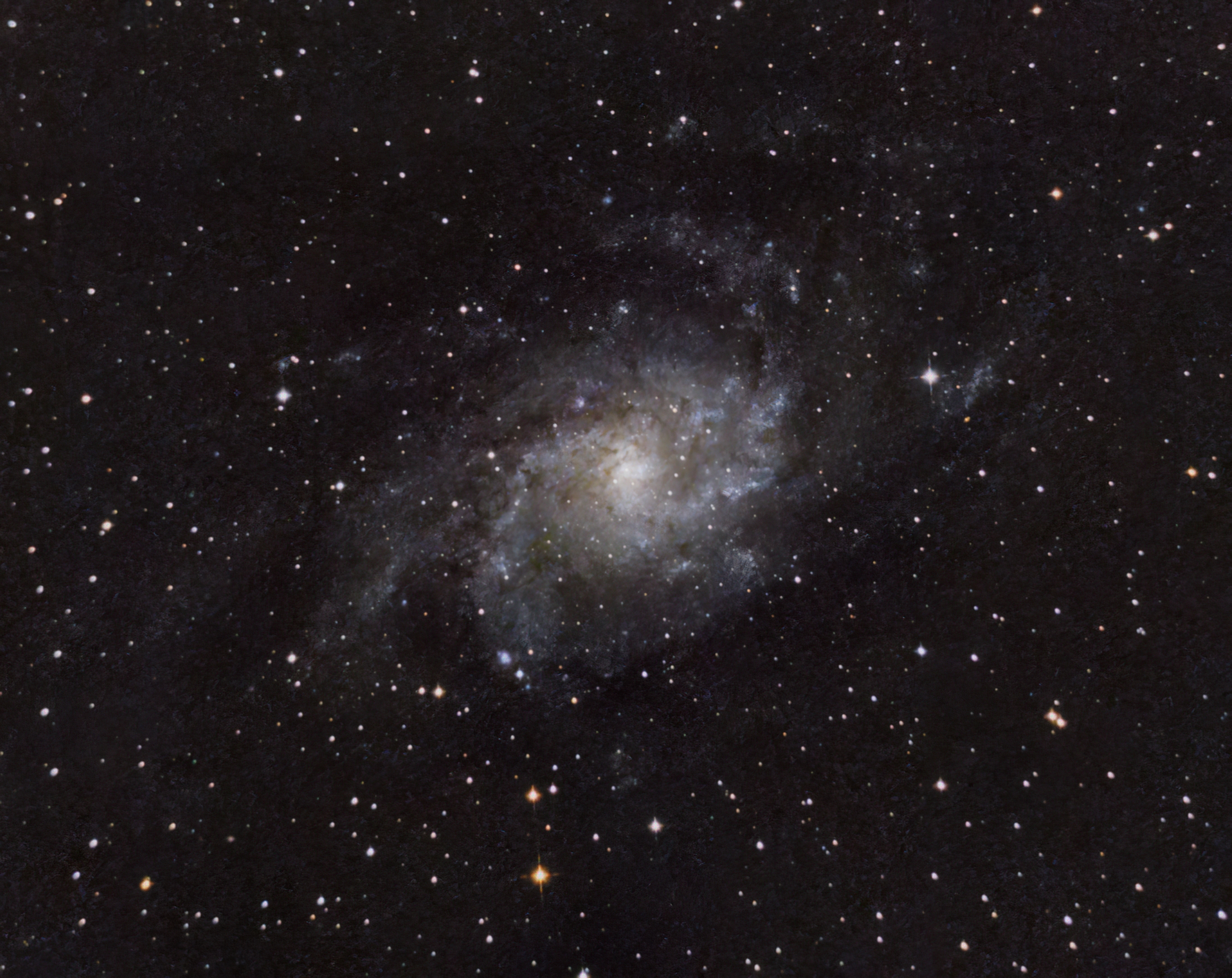 M33