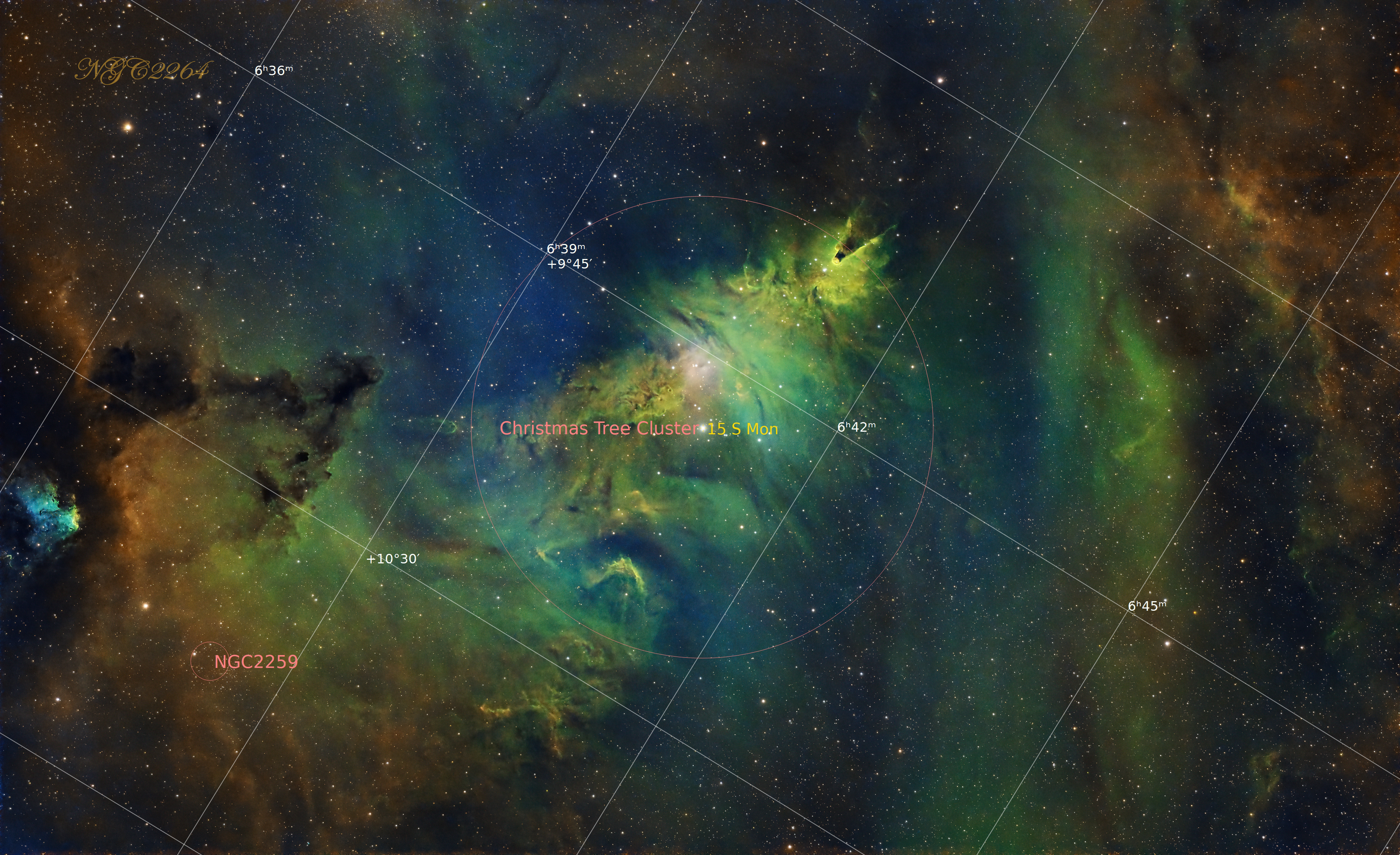 NGC2264 Annotated